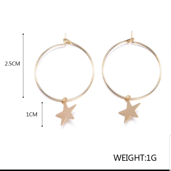 ☆Starla☆ Hoop Charm Earrings - Picture 3 of 6